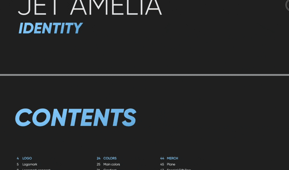 Branding Identity for Jet Amelia